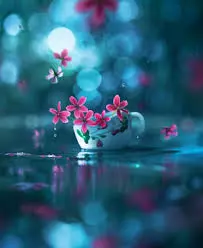 Top 25+ Stunning WhatsApp Wallpaper Ideas for Aesthetic Chat Backgrounds